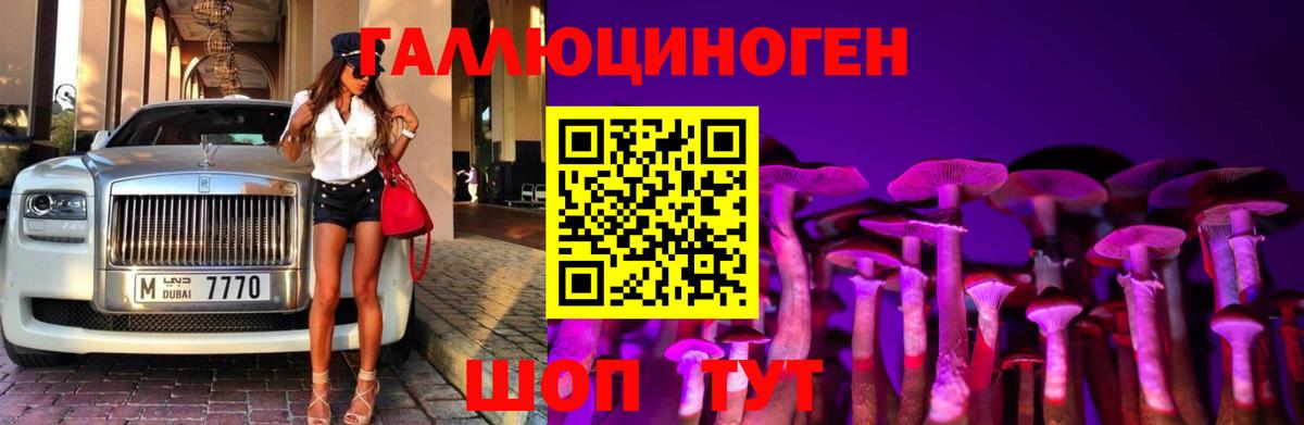 Псилоцибиновые грибы Cubensis Лесосибирск